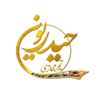 تیم مجازی حیدریون